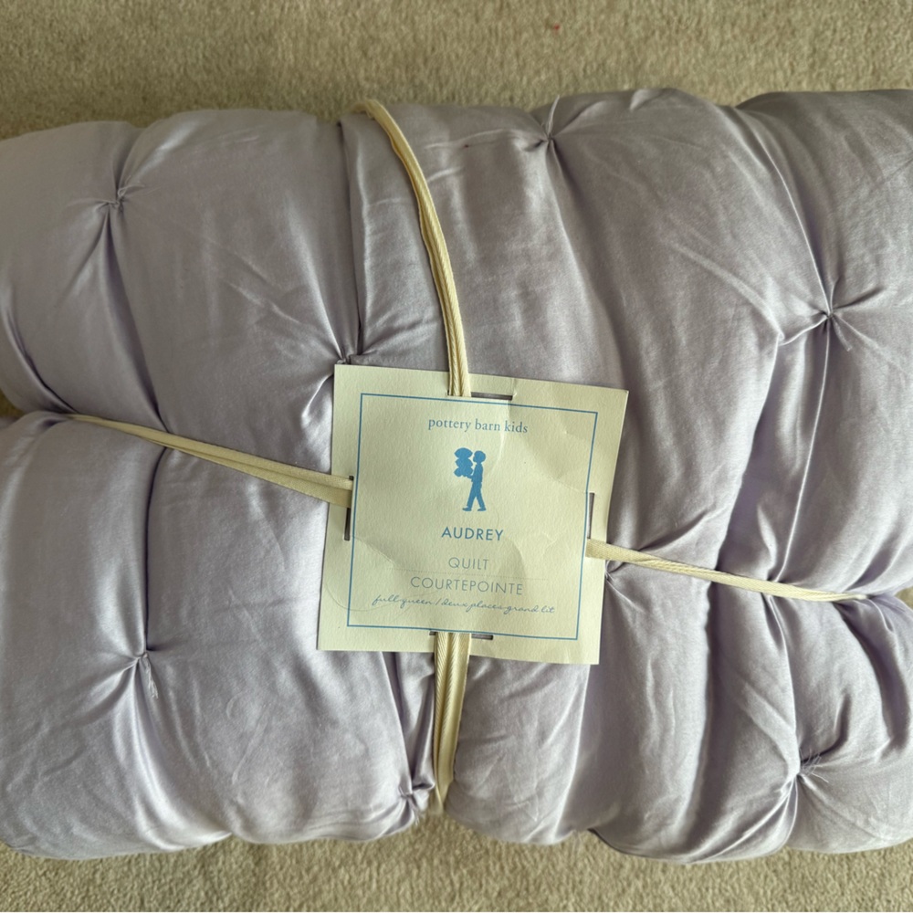 Pottery Barn Kids New Audrey Quilt and Sham
